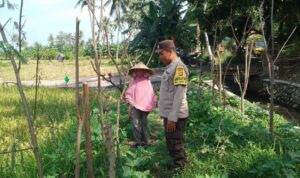 Bhabinkamtibmas Taman Ayu Galakkan Ketahanan Pangan Keluarga