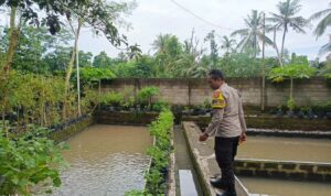 Ketahanan Pangan Dimulai dari Dusun Pesongoran, Lombok Barat