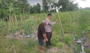 Kolaborasi Warga dan Polisi Dorong Pemanfaatan Pekarangan di Labuapi