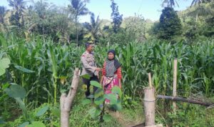 Peran Bhabinkamtibmas Desa Sekotong Timur dalam Program Pangan Nasional