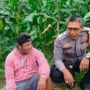 Kolaborasi Polri dan Warga Eyat Mayang: Pilar Ketahanan Pangan Lokal