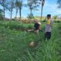Polri Dorong Pertanian Produktif di Desa Pelangan, Sekotong