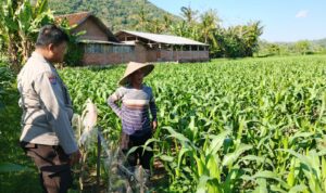 Polri dan Petani Bersinergi Wujudkan Ketahanan Pangan di Lembar, Lombok Barat