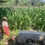 Polsek Lembar Dukung Ketahanan Pangan di Dusun Jelateng