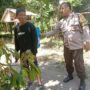 Ketahanan Pangan Desa Merembu Didorong Lewat Jalan Usaha Tani Baru