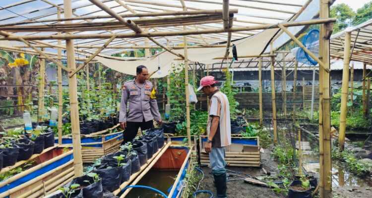 Bhabinkamtibmas Ajak Warga Dusun Tempit Tanam Sayur di Pekarangan Rumah