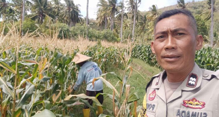 Bhabinkamtibmas Desa Batu Putih Dorong Pemanfaatan Lahan Petani di Dusun Tibu Baru