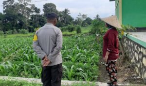 Bhabinkamtibmas Montong Are Dukung Ketahanan Pangan Lewat Pendampingan Petani