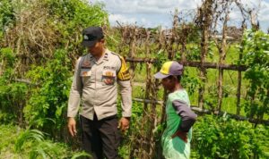 Bhabinkamtibmas di Labuapi dan Warga Bersinergi Jaga Ketahanan Pangan Nasional
