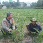 Dorong Ketahanan Pangan, Bhabinkamtibmas Desa Sandik Ajak Warga Manfaatkan Pekarangan