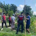 Polisi Lakukan Patroli Tanam Jagung di Dusun Kelebut untuk Dukung Swasembada Pangan