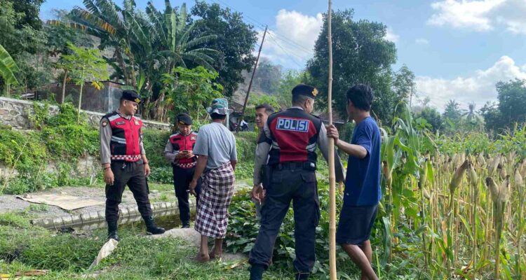 Polisi Lakukan Patroli Tanam Jagung di Dusun Kelebut untuk Dukung Swasembada Pangan