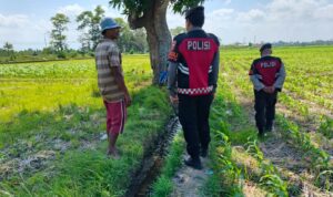 Polres Lombok Barat Pantau Lahan Jagung di Desa Tempos untuk Dukung Swasembada Pangan