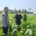 Polsek Batulayar Ajak Masyarakat Perempung Maksimalkan Lahan untuk Ketahanan Pangan