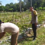 Polsek Sekotong Ajak Petani Berdayakan Lahan Produktif di Dusun Berambang