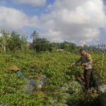 Sinergi Polri dan Warga Dusun Pelulan Wujudkan Ketahanan Pangan Keluarga