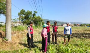Polri Hadir Bantu Petani Jagung Wujudkan Swasembada di Lombok Barat