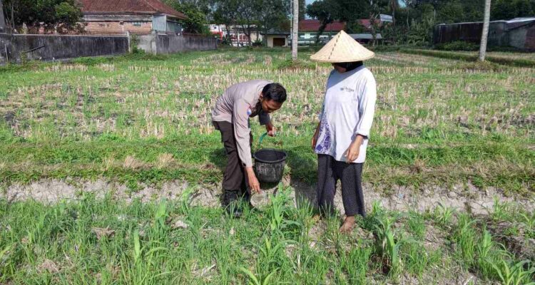 Polsek Kuripan Galakkan Pertanian Pekarangan Demi Kesejahteraan Warga