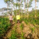 Kolaborasi Polisi dan Petani di Jagaraga untuk Wujudkan Lumbung Pangan Lokal