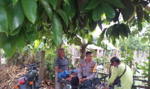 Inisiatif Ketahanan Pangan, Polisi Ajak Petani Desa Jagaraga Optimalkan Lahan Pekarangan