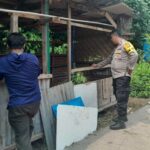 Sinergi Polri dan Warga Senggigi, Tanam Sayuran di Lahan Kosong untuk Perkuat Ekonomi Keluarga