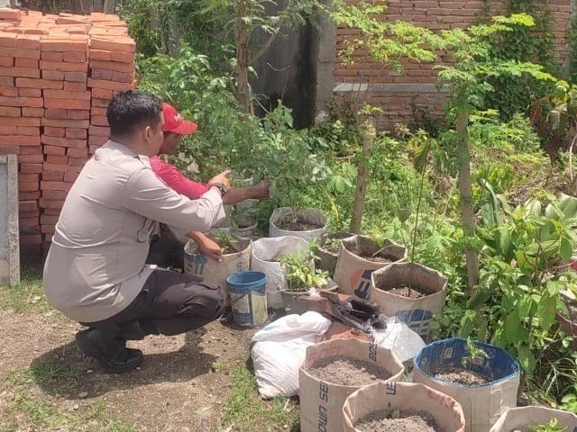 Sinergi Polsek Labuapi dan Warga Mapak Reong Dorong Pemanfaatan Pekarangan Produktif