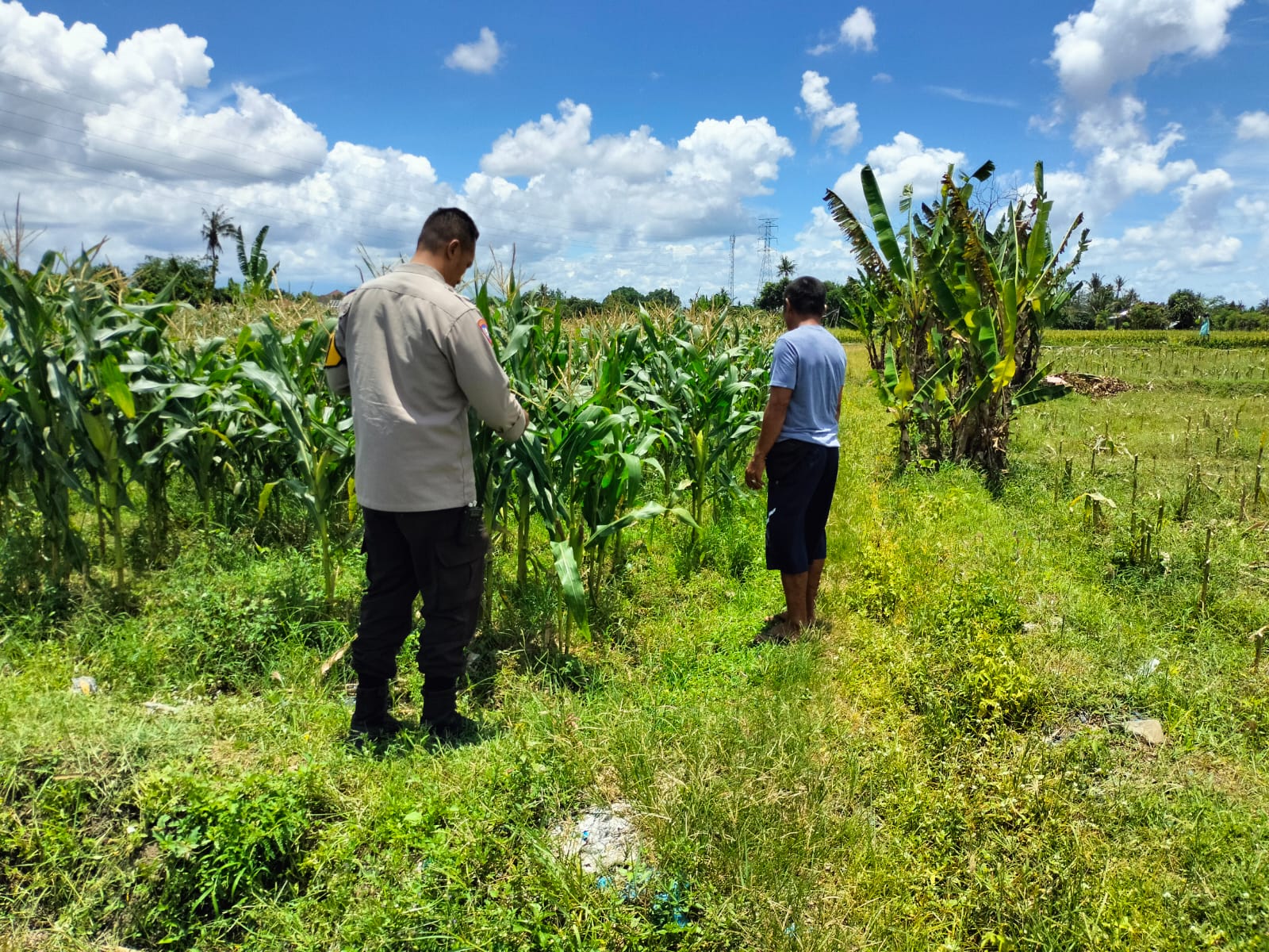 Ketahanan Pangan Diperkuat, Bhabinkamtibmas Desa Labuapi Ajak Warga Produktif