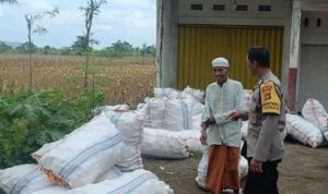 Jagung Melimpah, Polri Dukung Ketahanan Pangan di Lombok Barat