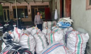 Sinergi Polri–Petani di Beleka: Kualitas Jagung Dijaga Ketat untuk BULOG