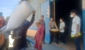 Jagung Aman, Warga Mandiri: Langkah Nyata Polri Wujudkan Ketahanan Pangan Lokal