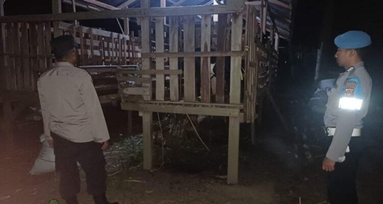 Malam Tak Lagi Sepi, Polisi Lembar Aktif Jaga Kandang Ternak Warga