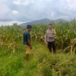 Sinergi Polri dan Warga Wujudkan Kemandirian Pangan di Lombok Barat