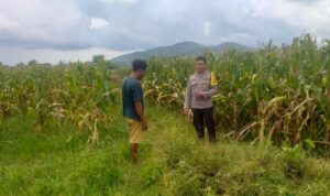 Sinergi Polri dan Warga Wujudkan Kemandirian Pangan di Lombok Barat