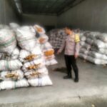 Sinergi Polri dan Bulog Jamin Harga Jual Jagung Petani Lombok Barat