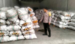 Sinergi Polri dan Bulog Jamin Harga Jual Jagung Petani Lombok Barat