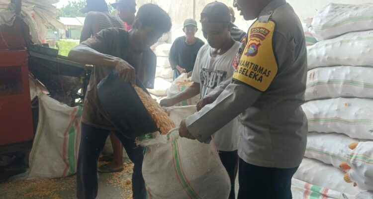 Jaga Kualitas, Polri Bantu Petani Lombok Barat Pipil Jagung