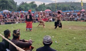 Pelestarian Budaya Sasak: Final Peresean Tarung Pepadu Lombok Berlangsung Aman
