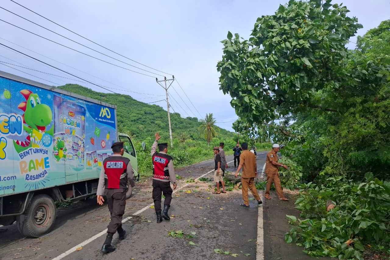 Keselamatan Prioritas: Polsek Sekotong Amankan dan Bersihkan Pohon Tumbang